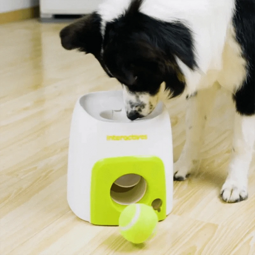Fortunato Store Automatic Dog Ball Launcher Automatic Dog Ball Launcher – Fetch & Treat Trainer