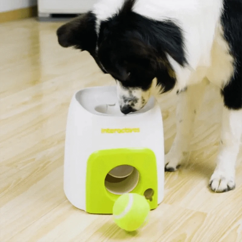 Fortunato Store Automatic Dog Ball Launcher Automatic Dog Ball Launcher – Fetch & Treat Trainer