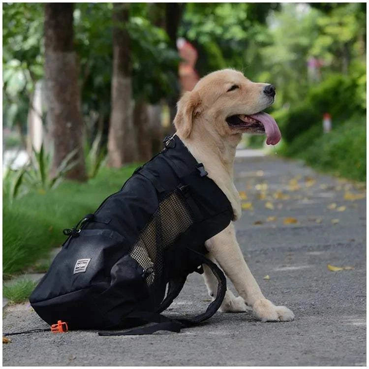 Fortunato Store Dog Carrier Backpack Dog Carrier Backpack – Breathable Hiking Travel Bag