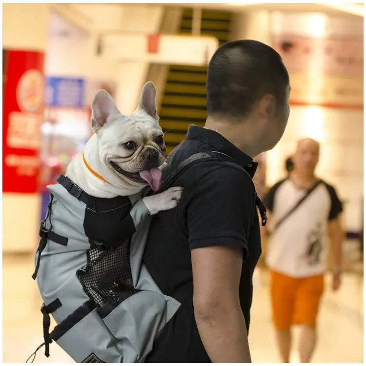 Fortunato Store Dog Carrier Backpack Dog Carrier Backpack – Breathable Hiking Travel Bag