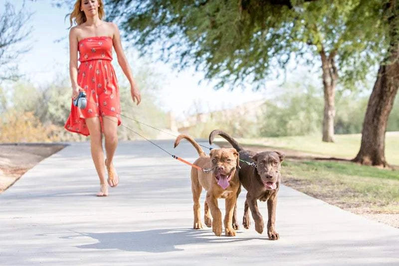 Fortunato Store Dual Retractable Dog Leash Dual Retractable Dog Leash – No-Tangle & LED Light