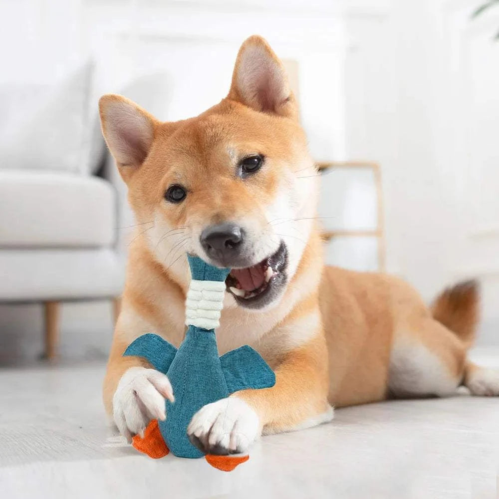 Fortunato Store Dental Chew for Pets Goose Sound Dog Toy – Dental Chew for Pets