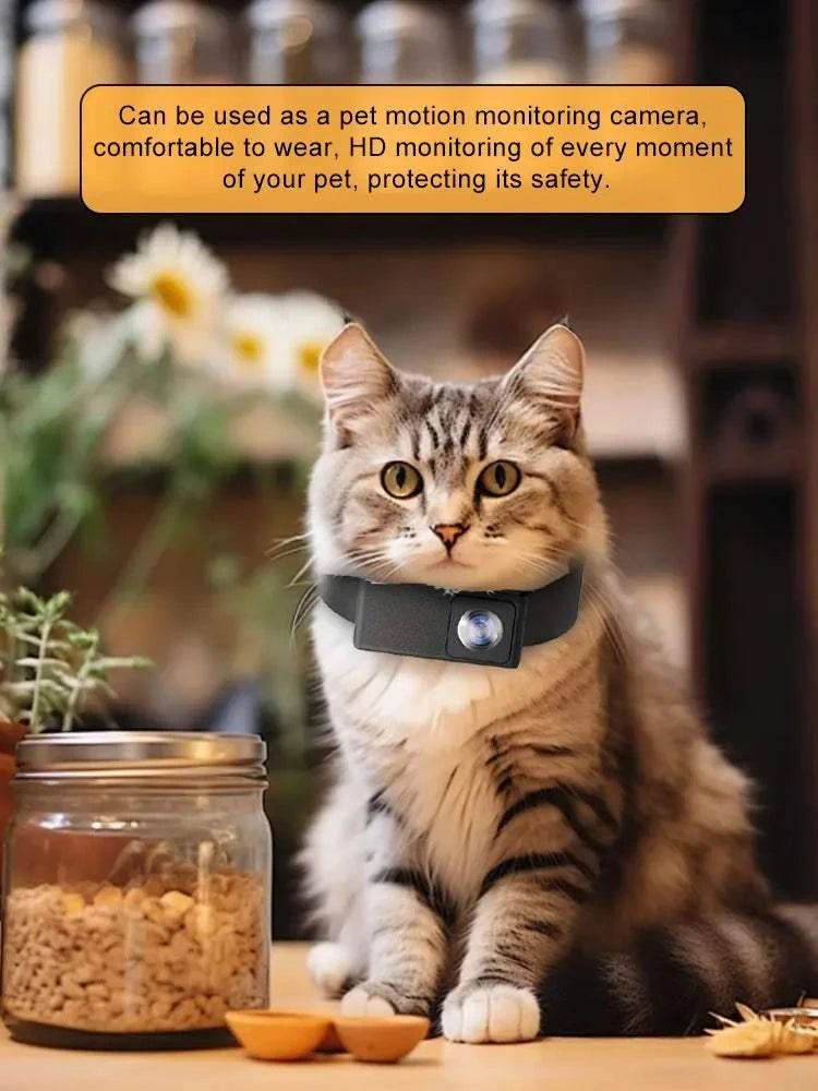 Fortunato Store Pet Collar Camera HD 1080P Pet Collar Camera – Wide Angle, No WiFi Needed