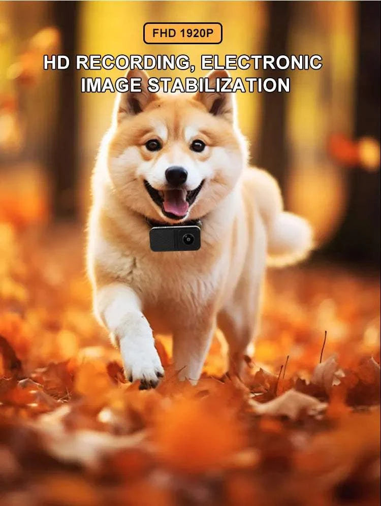 Fortunato Store Pet Collar Camera HD 1080P Pet Collar Camera – Wide Angle, No WiFi Needed