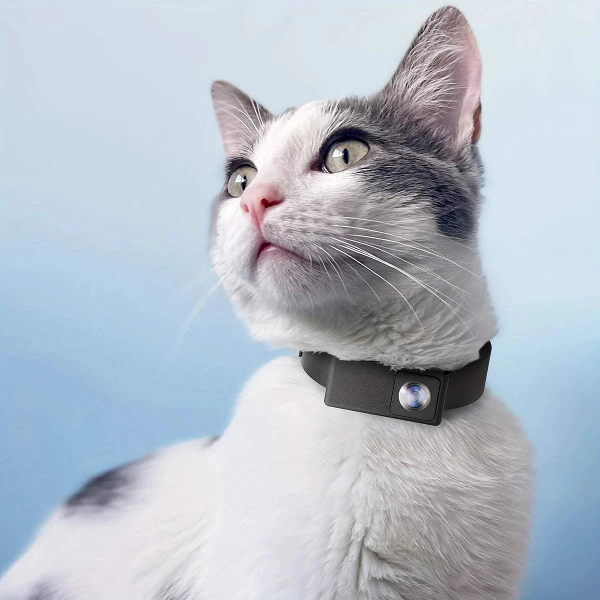 Fortunato Store Pet Collar Camera HD 1080P Pet Collar Camera – Wide Angle, No WiFi Needed