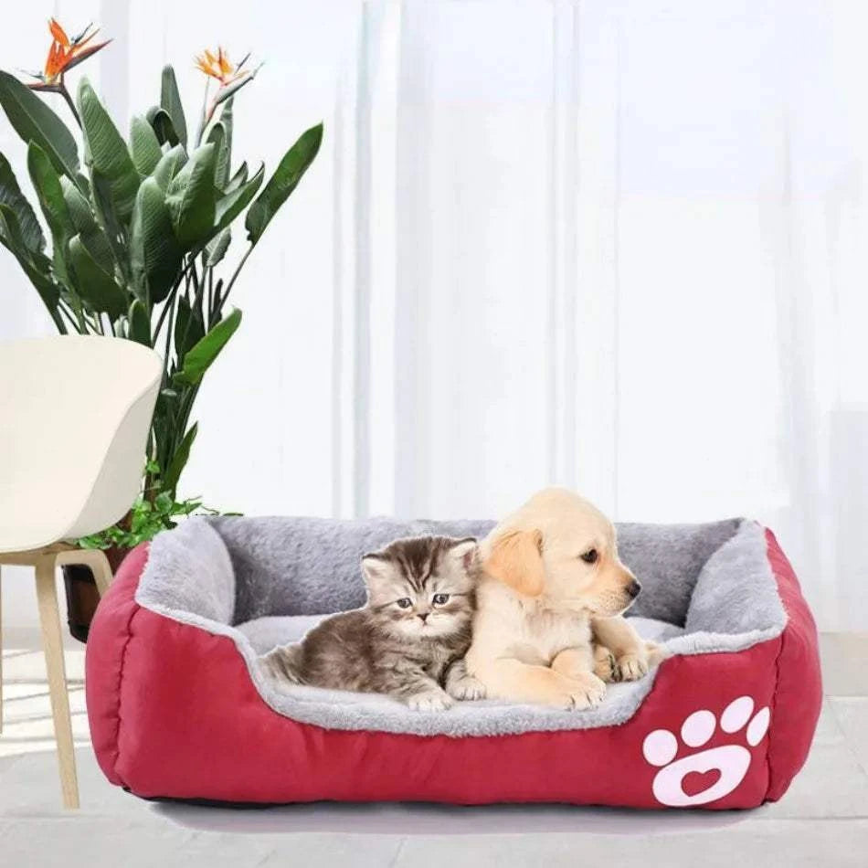 Fortunato Store Orthopedic Dog Bed Large Waterproof Pet Bed – Washable Plush Mat