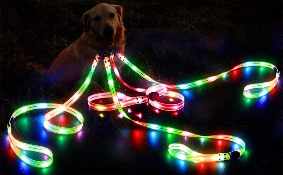 Fortunato Store LED Dog Leash LED Dog Leash – USB Rechargeable Safety Light Leash