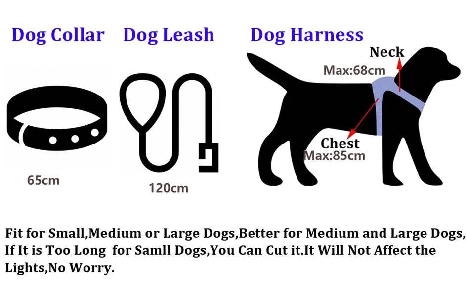 Fortunato Store LED Dog Leash LED Dog Leash – USB Rechargeable Safety Light Leash