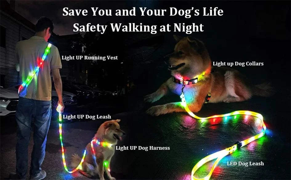 Fortunato Store LED Dog Leash LED Dog Leash – USB Rechargeable Safety Light Leash
