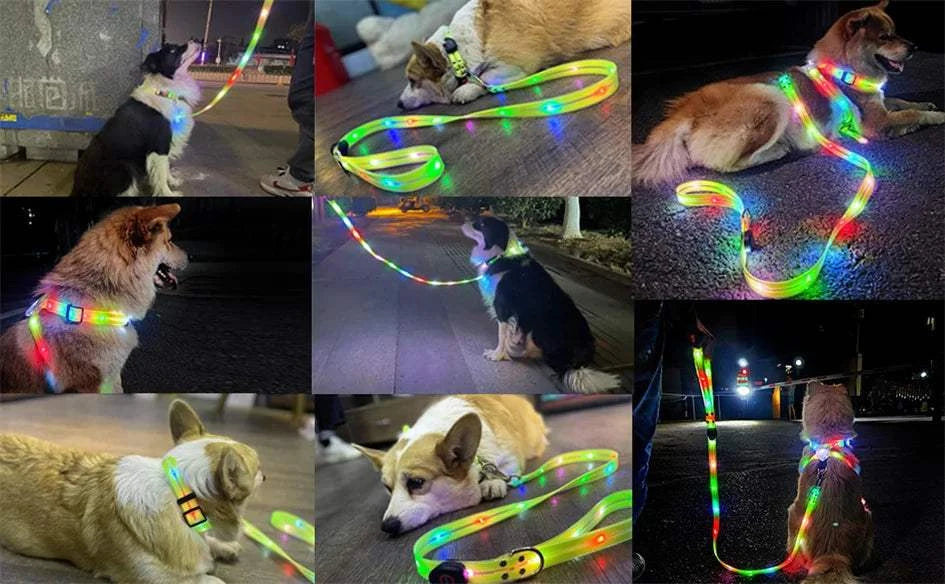 Fortunato Store LED Dog Leash LED Dog Leash – USB Rechargeable Safety Light Leash