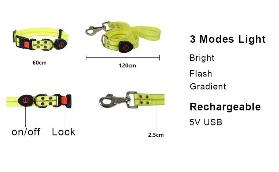 Fortunato Store LED Dog Leash LED Dog Leash – USB Rechargeable Safety Light Leash