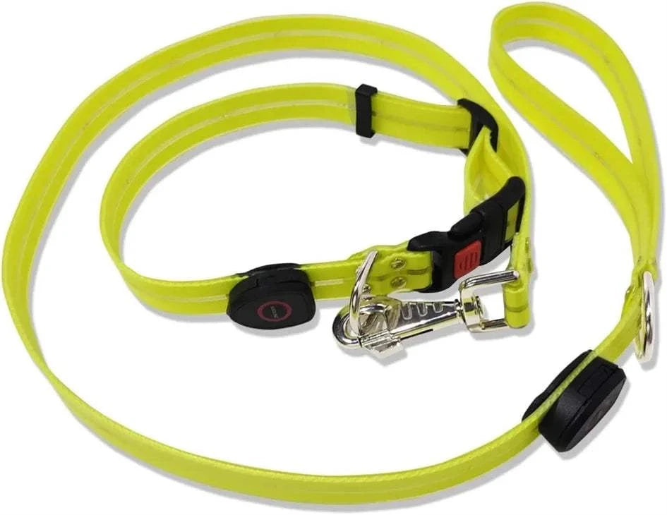 Fortunato Store LED Dog Leash LED Dog Leash – USB Rechargeable Safety Light Leash