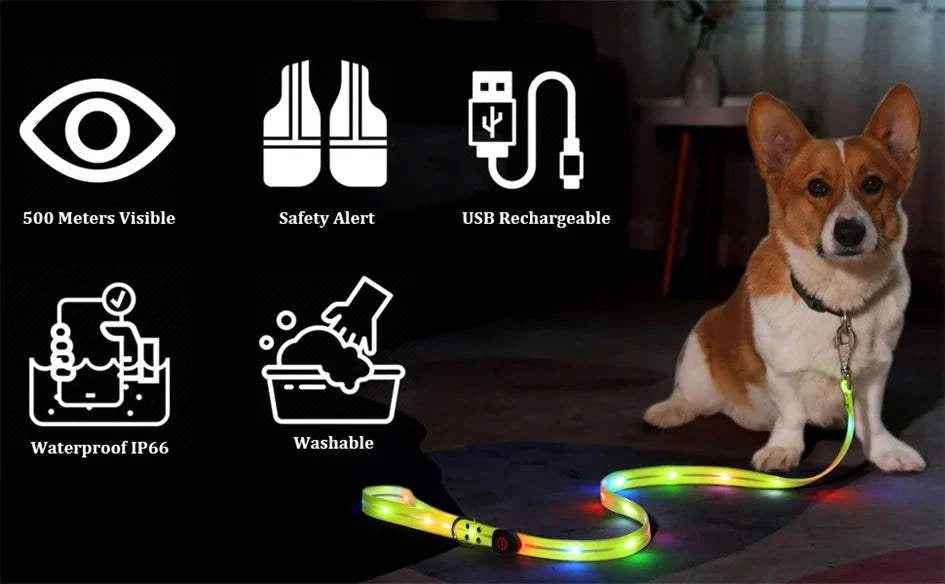 Fortunato Store LED Dog Leash LED Dog Leash – USB Rechargeable Safety Light Leash