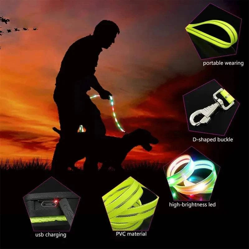 Fortunato Store LED Dog Leash LED Dog Leash – USB Rechargeable Safety Light Leash