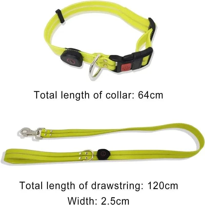 Fortunato Store LED Dog Leash LED Dog Leash – USB Rechargeable Safety Light Leash