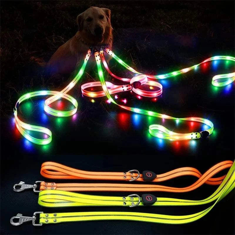 Fortunato Store LED Dog Leash LED Dog Leash – USB Rechargeable Safety Light Leash