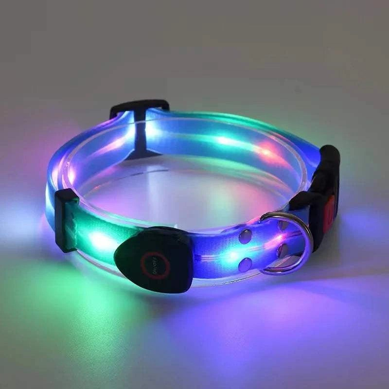 Fortunato Store LED Dog Leash blue LED Dog Leash – USB Rechargeable Safety Light Leash