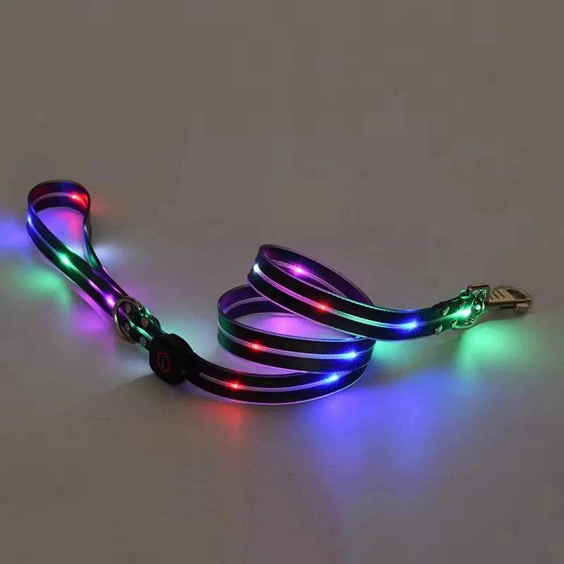 Fortunato Store LED Dog Leash Gold LED Dog Leash – USB Rechargeable Safety Light Leash
