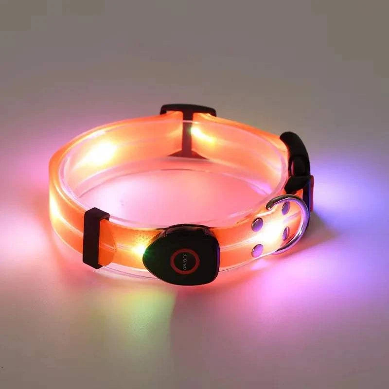 Fortunato Store LED Dog Leash orange color LED Dog Leash – USB Rechargeable Safety Light Leash