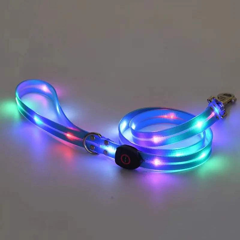 Fortunato Store LED Dog Leash PURPLE LED Dog Leash – USB Rechargeable Safety Light Leash