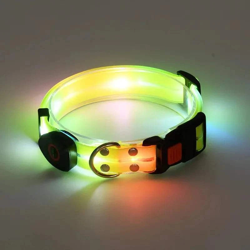 Fortunato Store LED Dog Leash yellow LED Dog Leash – USB Rechargeable Safety Light Leash