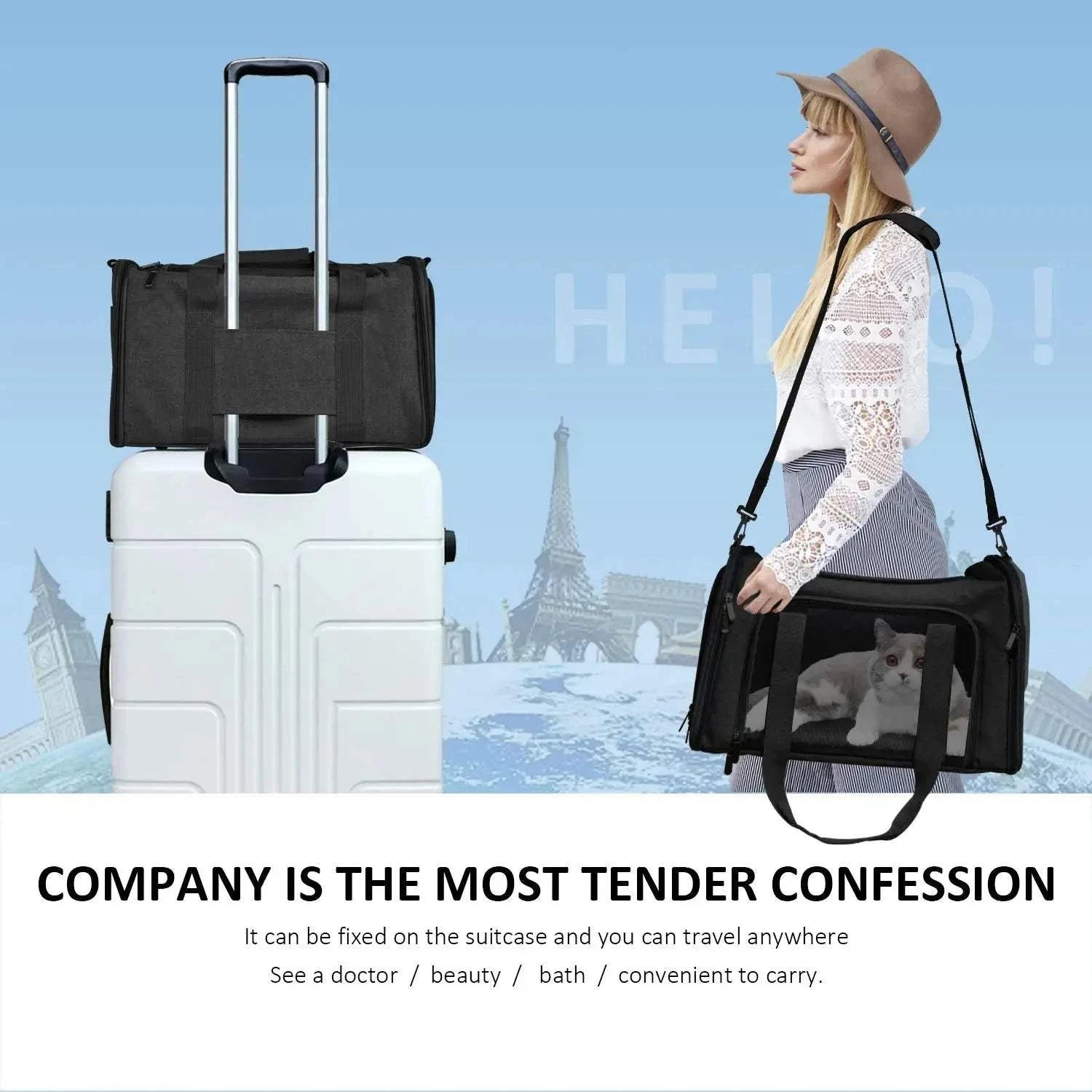 Fortunato Store LLC Airline Dog Carrier Airline Dog Carrier – Travel Bag for Small Dogs (15 lbs)