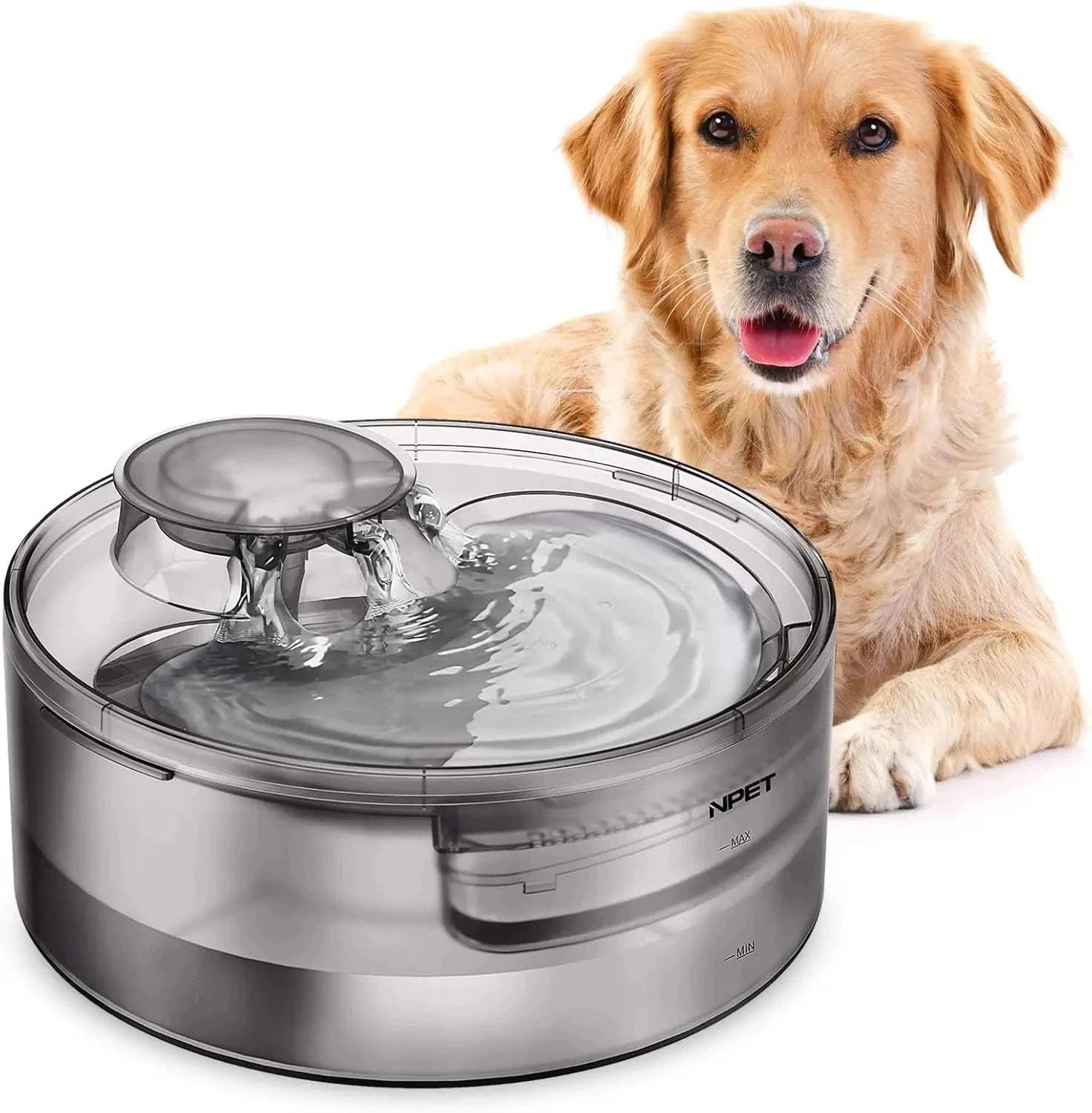 Fortunato Store LLC Pet Water Fountain United States 5L Automatic Pet Water Fountain – Multi-Pet Hydration