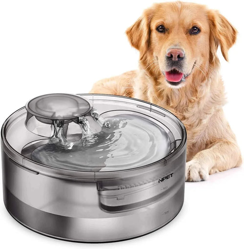 Fortunato Store LLC Pet Water Fountain United States 5L Automatic Pet Water Fountain – Multi-Pet Hydration