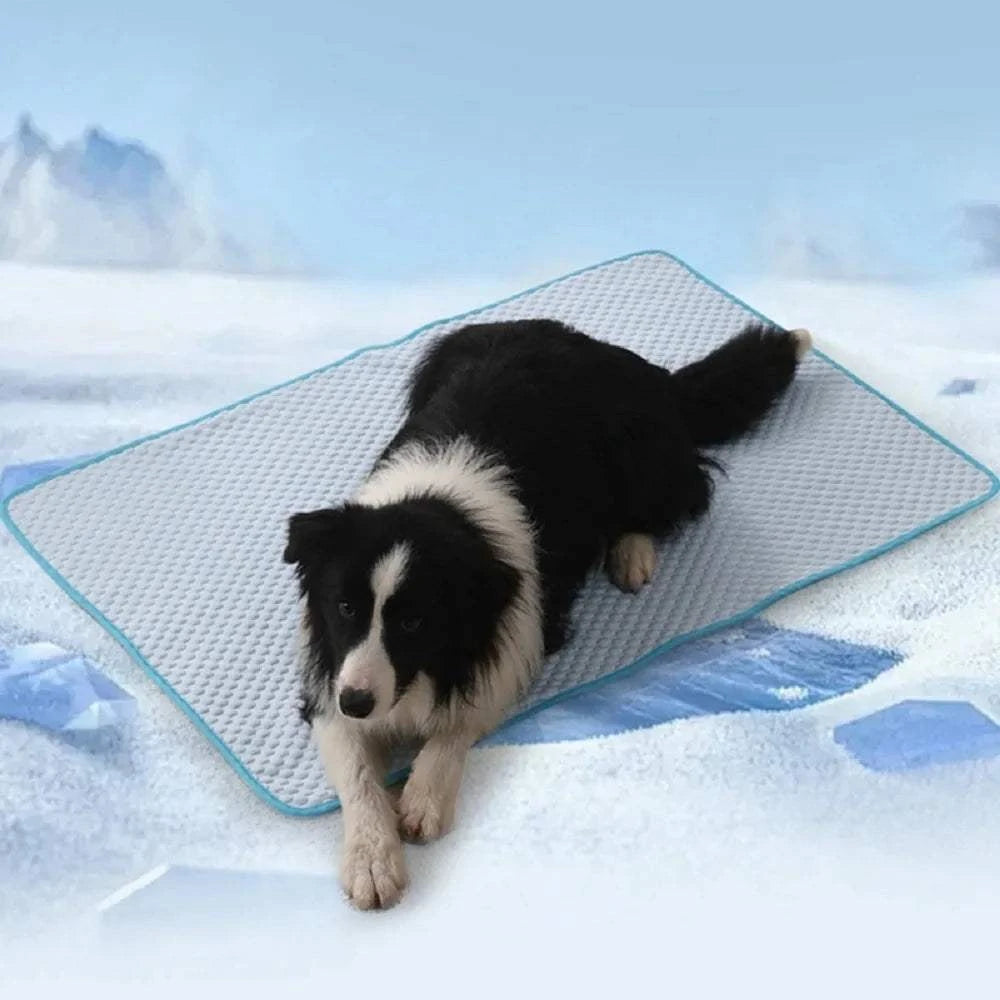 Fortunato Store LLC Cooling Pet Mat Cooling Pet Mat – Ice Silk Summer Bed for Dogs & Cats