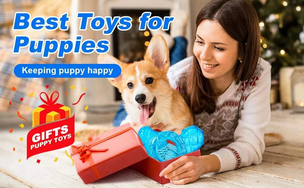 Fortunato Store LLC Dog Cooling Chew Toys 3pcs 3pcs Dog Cooling Chew Toys – Summer Relief Set