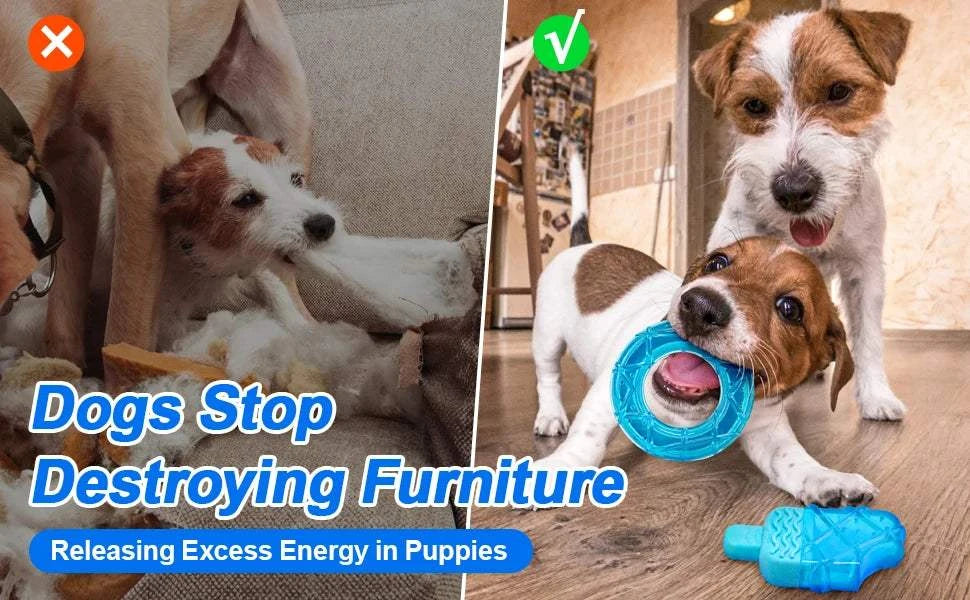Fortunato Store LLC Dog Cooling Chew Toys 3pcs 3pcs Dog Cooling Chew Toys – Summer Relief Set