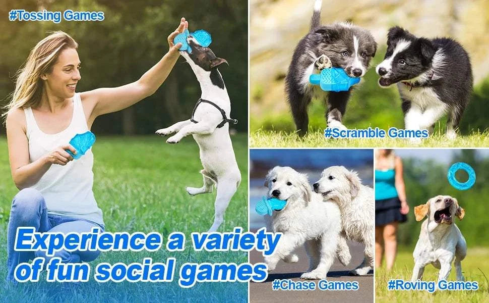 Fortunato Store LLC Dog Cooling Chew Toys 3pcs 3pcs Dog Cooling Chew Toys – Summer Relief Set