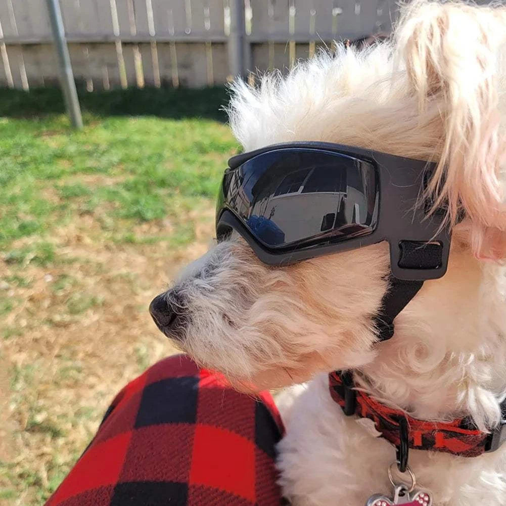 Fortunato Store LLC Dog UV Sunglasses Dog UV Sunglasses – Pet Goggles for Outdoor Protection