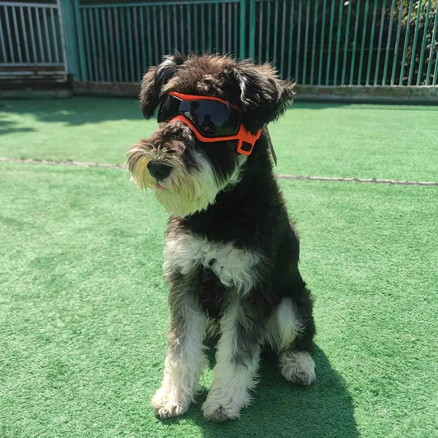 Fortunato Store LLC Dog UV Sunglasses Dog UV Sunglasses – Pet Goggles for Outdoor Protection