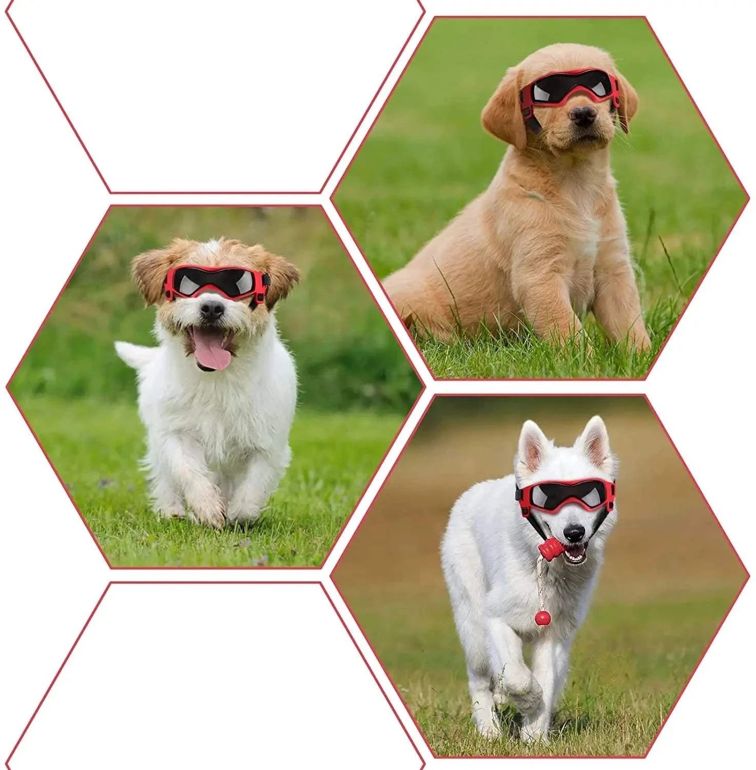 Fortunato Store LLC Dog UV Sunglasses Dog UV Sunglasses – Pet Goggles for Outdoor Protection