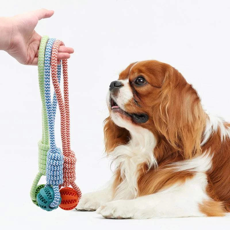 Fortunato Store LLC Rubber Dog Ball Durable Rubber Dog Ball – Teeth Cleaning & Treat Dispensing Chew Toy