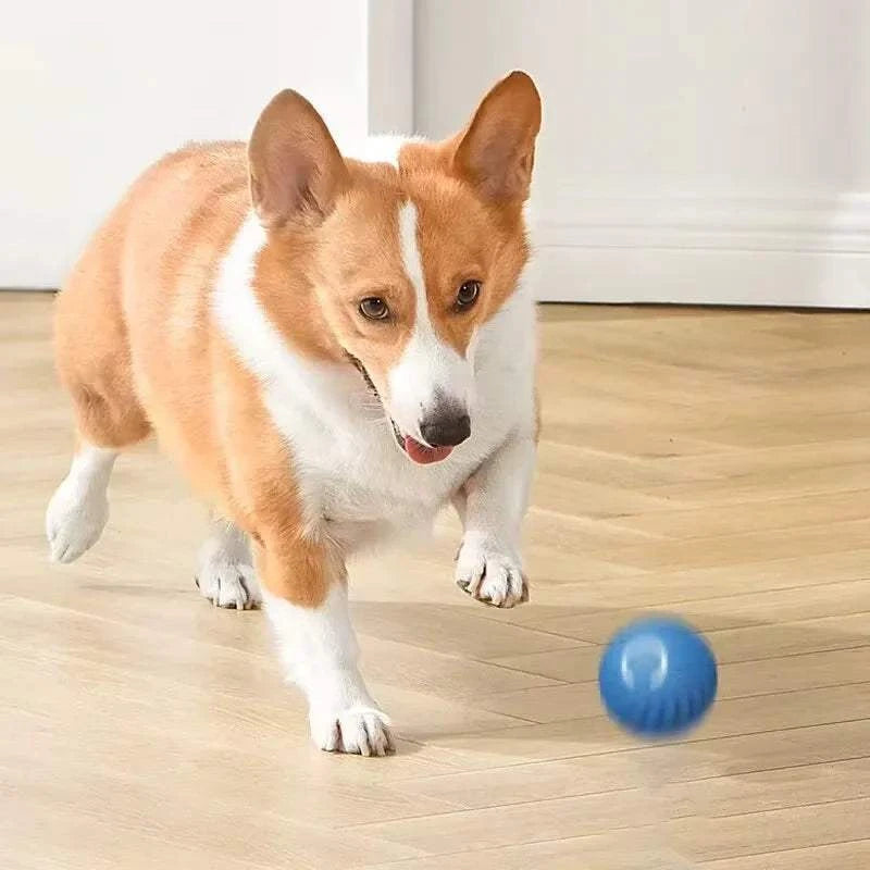 Fortunato Store LLC Smart Jumping Ball Smart Jumping Ball – Rechargeable Bouncing Toy for Pets