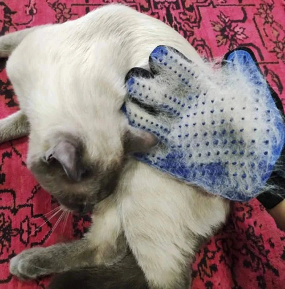 Fortunato Store Pet Grooming Glove Random color M Pet Grooming Glove – Shedding & Massage Mitt for Dogs