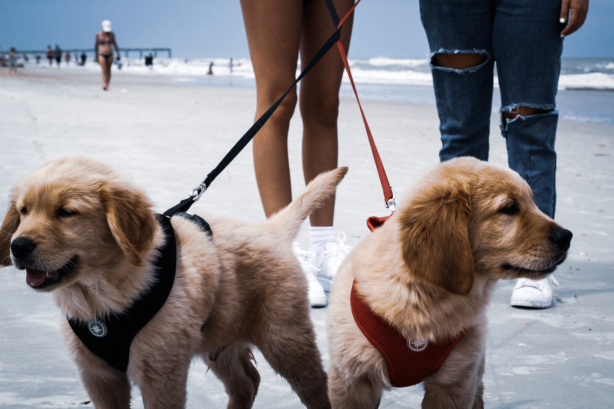 smile-difrnt-OBN1qHBucbM-unsplash - Fortunato Store